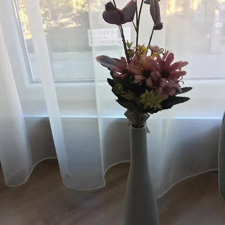 мони Apartment
