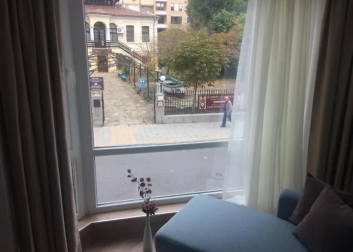 мони * بورغاس