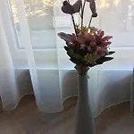 мони Apartamento